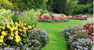 Gardening Services Essex