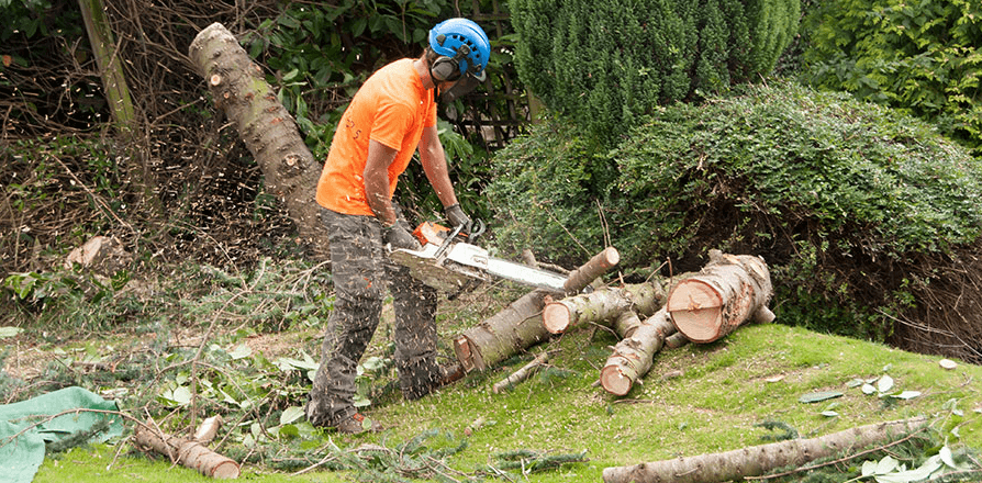 Valiant Arborist Reviews