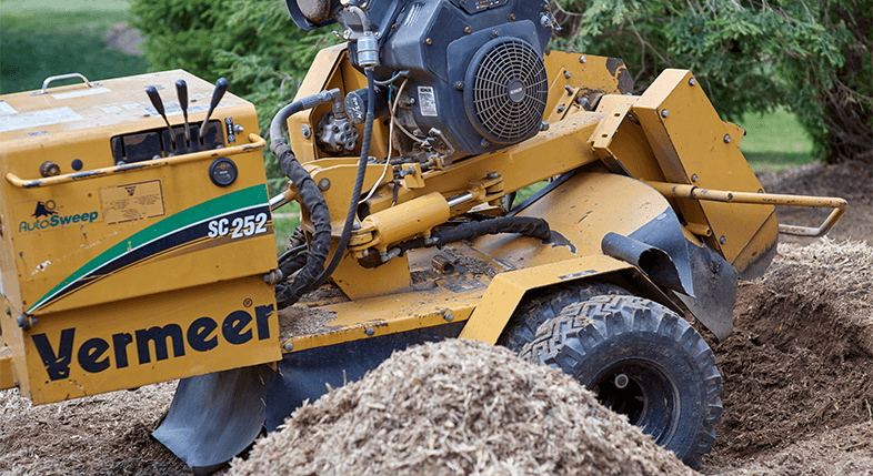 tree stump removal essex