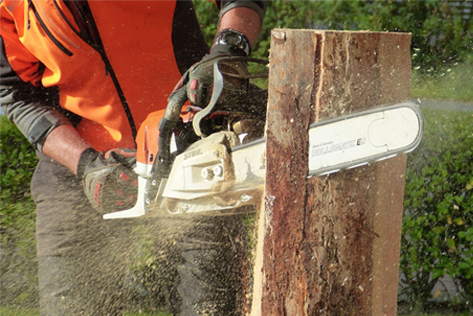 Tree Surgery Essex